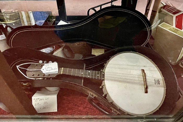 8-string banjo/mandolin